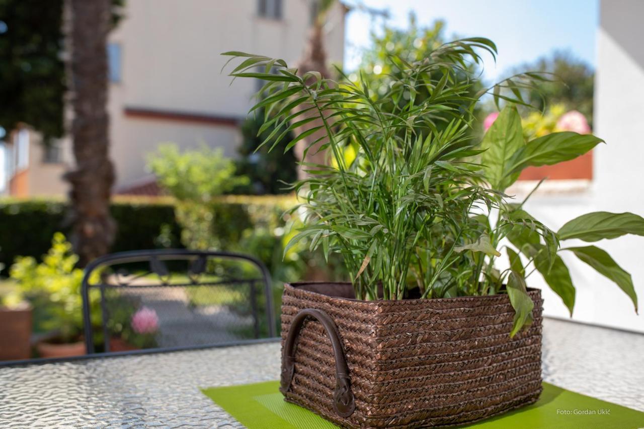 Apartman Luka Rovinj Extérieur photo